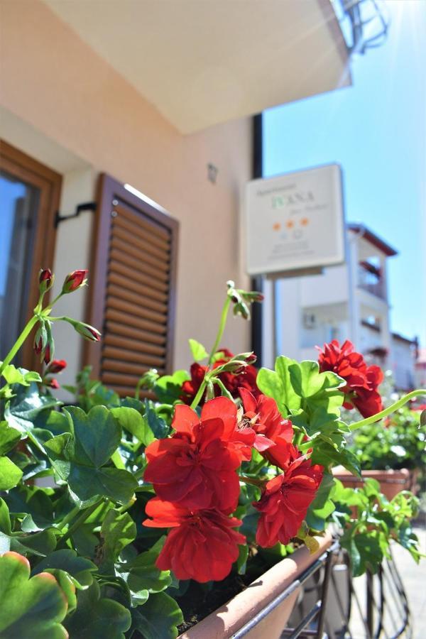 Apartments & Rooms Ivana Rovinj Rum bild