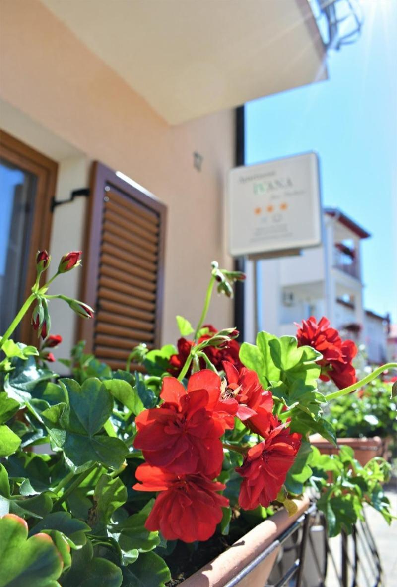 Apartments & Rooms Ivana Rovinj Rum bild